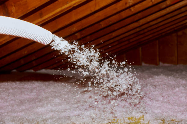 Best Insulation Maintenance and Repair in Pines Lake, NJ